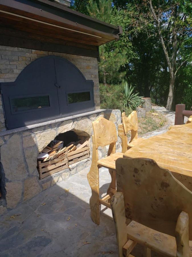 Vila Slankamenka Stari Slankamen Exteriör bild