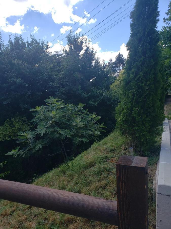 Vila Slankamenka Stari Slankamen Exteriör bild